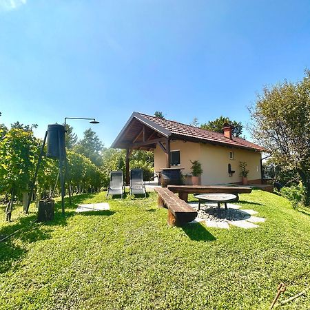 Holiday House Tomajna Podlehnik Екстер'єр фото